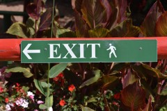 Blue Lotus Water Garden (Bob Clothier ©)