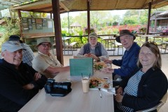 Blue Lotus Water Garden (Marg Huxtable ©)
