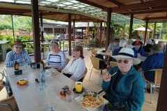 Blue Lotus Water Garden (Marg Huxtable ©)