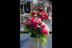 Boroondara Cemetery, Kew - 17 June 2025 (Mid-Week Group)