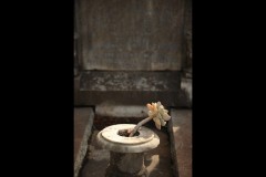 Boroondara Cemetery, Kew (Terry Noske ©)