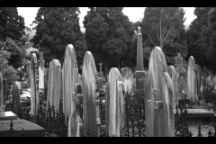 Boroondara Cemetery, Kew (Terry Noske ©)
