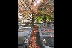 Boroondara Cemetery, Kew (Paul Palcsek ©)