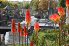 Boroondara Cemetery, Kew (Terry Noske ©)