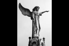 Boroondara Cemetery, Kew (Marg Huxtable ©)
