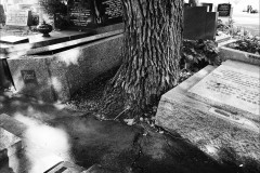Boroondara Cemetery, Kew (Bob Clothier ©)