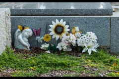 Boroondara Cemetery, Kew (David Dyett ©)