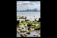 Brighton Beach Walk (Peter Stuchbery ©)