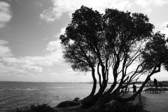 Brighton Beach Walk (Terry Noske ©)