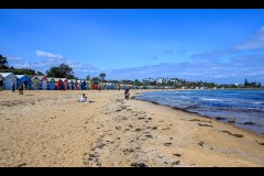 Brighton Beach Walk (Greg Earl ©)