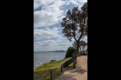 Brighton Beach Walk (David Davidson ©)