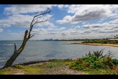 Brighton Beach Walk (Greg Earl ©)