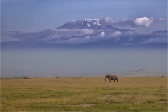 Landscape-Seascape-Robert-Fairweather-Mount-Kilimanjaro-2nd