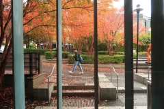 CCC Exhibition & Hawthorn Outing (Terry Noske ©)