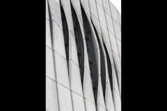 Wavy Walls - CCC Exhibition & Hawthorn Outing (Gerry Silk ©)