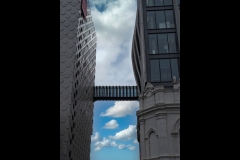 Sky Bridge - CCC Exhibition & Hawthorn Outing (Gerry Silk ©)