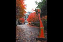 CCC Exhibition & Hawthorn Outing (Joe Hajdu ©)