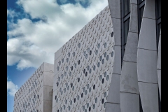 Dots & Waves - CCC Exhibition & Hawthorn Outing (Gerry Silk ©)