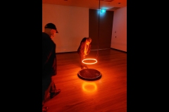 CCC Exhibition & Hawthorn Outing (Paul Palcsek ©)