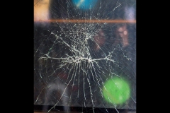 CCC Exhibition & Hawthorn Outing (Joe Hajdu ©)