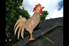 Chesterfield Farm (Bob Clothier ©)