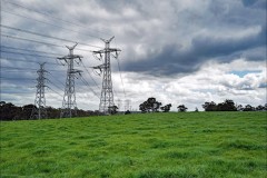 Chesterfield Farm (Stuart McMurtrie ©)