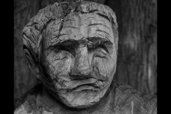 Chesterfield Farm (Alan Scott ©)