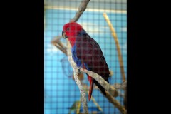 Chesterfield Farm (Stuart McMurtrie ©)