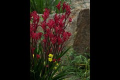 Chesterfield Farm (Paul Palcsek ©)