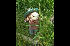 Chesterfield Farm (Bob Clothier ©)