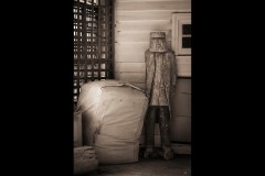 Chesterfield Farm (Ann Bevans ©)