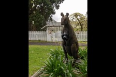 Chesterfield Farm (David Davidson ©)