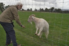 Chesterfield Farm (Bob Clothier ©)