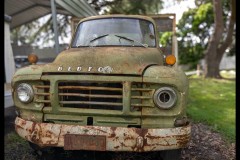 Chesterfield Farm (David Davidson ©)