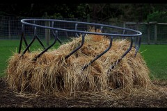 Chesterfield Farm (Paul Palcsek ©)