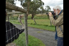 Chesterfield Farm (Bob Clothier ©)