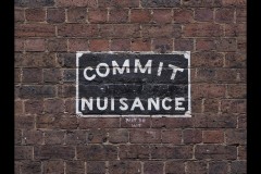 Chinatown Walk (Paul Palcsek ©)