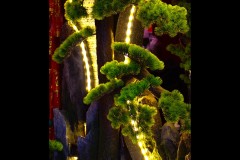 Chinatown Walk (Sara Wigney ©)