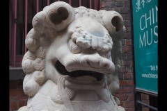 Chinatown Walk (Paul Palcsek ©)