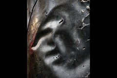 Chinatown Walk (Richard Faris ©)