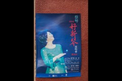 Chinatown Walk (David Dyett ©)