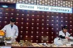 Chinatown Walk (Ken Gosbell ©)