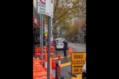 Chinatown Walk (David Davidson ©)