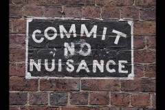 Chinatown Walk (Paul Palcsek ©)