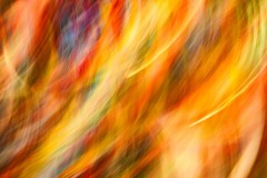 Chinatown Walk (Richard Faris ©)