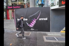 Chinatown Walk (Paul Palcsek ©)