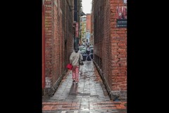 Chinatown Walk (Robert Fairweather ©)