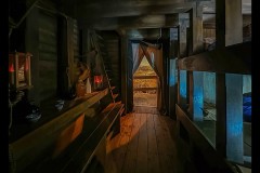 Chinatown Walk (Carolyn Brandt ©)