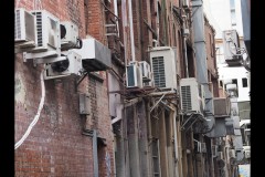 Chinatown Walk (Paul Palcsek ©)