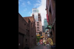 Chinatown Walk (Paul Palcsek ©)